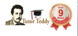 Tudor Teddy
